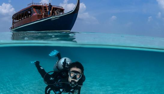 Plongée aux Maldives