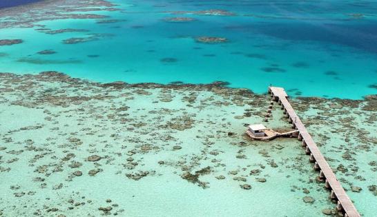 Sanganeb Reef